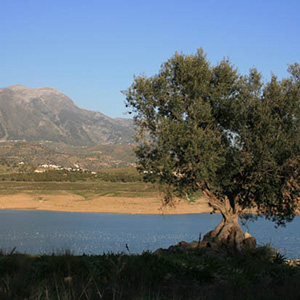 Route aux alentours du Lac de La Viñuela