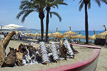 Espetos grilled sardines on the beach